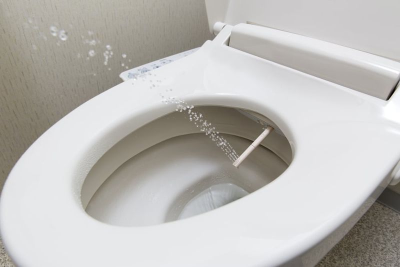 Buy Instead: Bidet Attachment