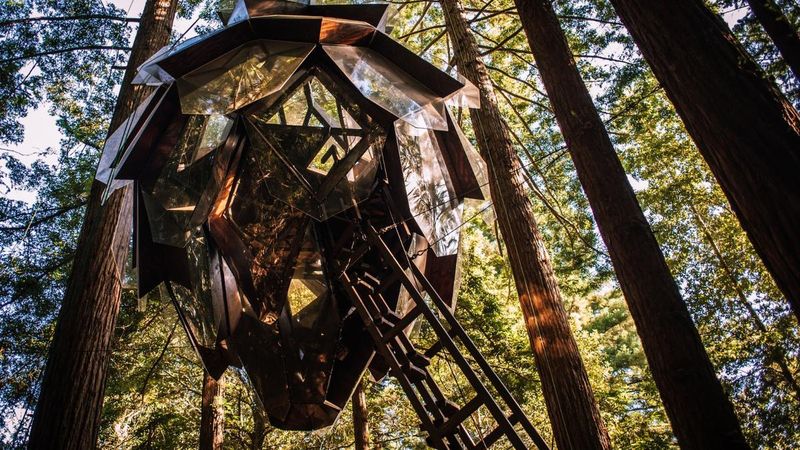 The Pinecone Treehouse