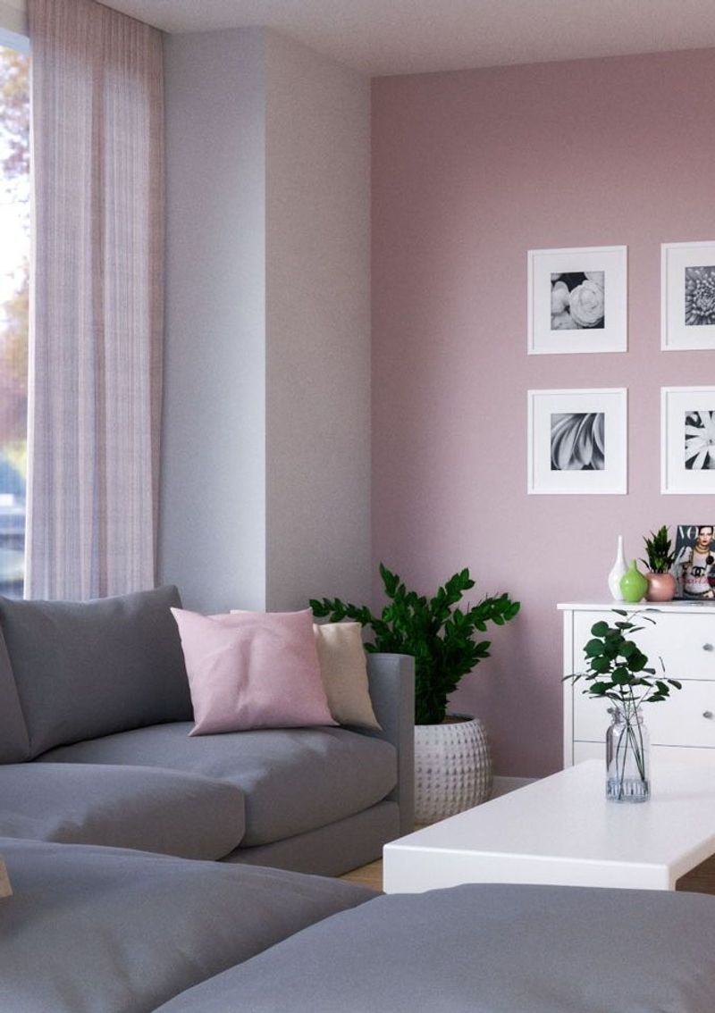 Pale Pink And Charcoal