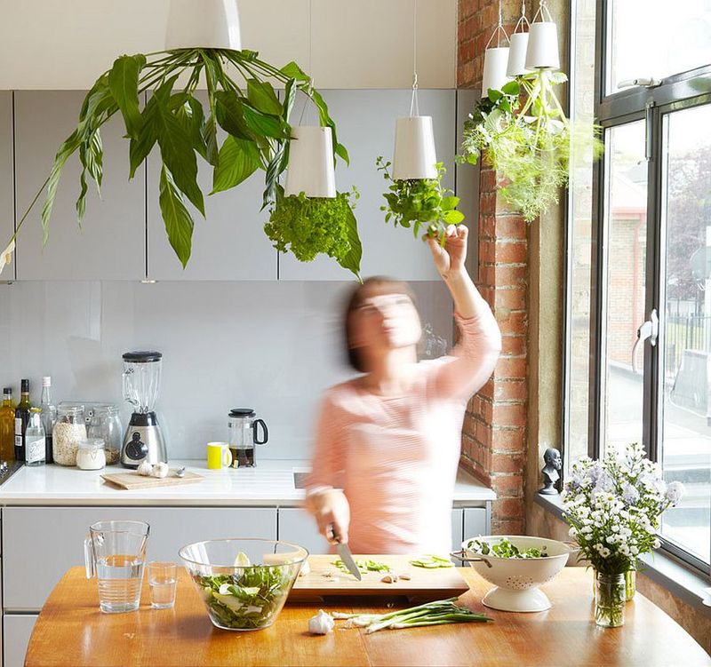Ceiling-Mounted Pot Plants