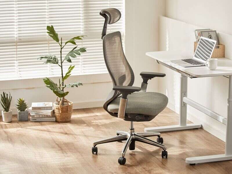 Ergonomic Office Chair
