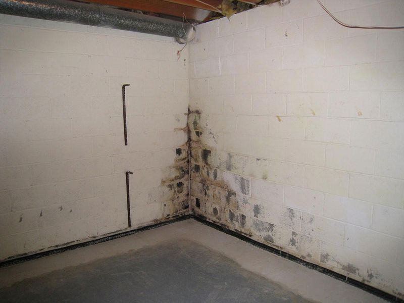 Damp Basement Corners