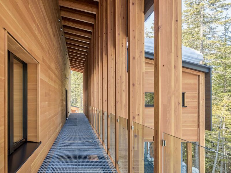 Timber Construction Mastery