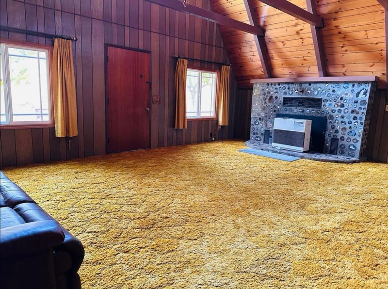 Heavy Shag Carpeting Throughout the House