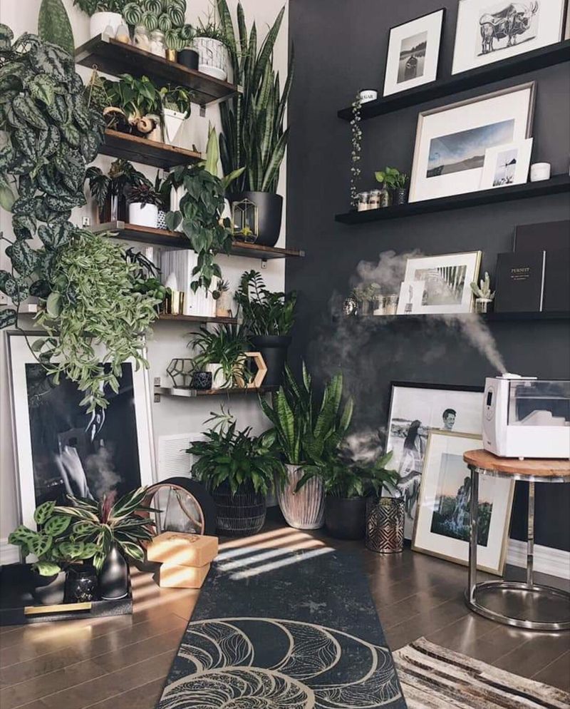 Indoor Plant Sanctuaries