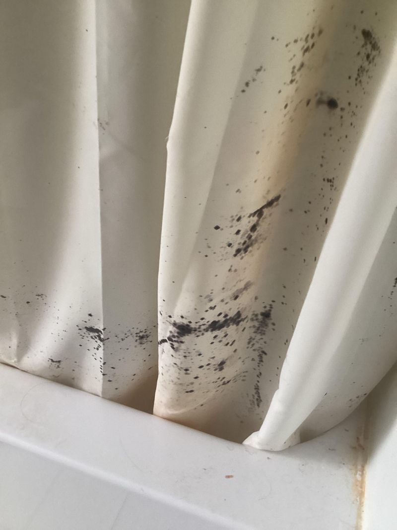 Moldy Shower Curtains