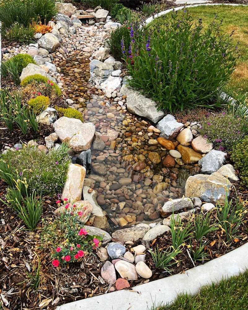Dry Creek Bed: Functional Garden Drama