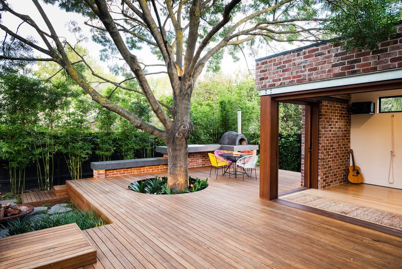 Tree-Hugging Platform