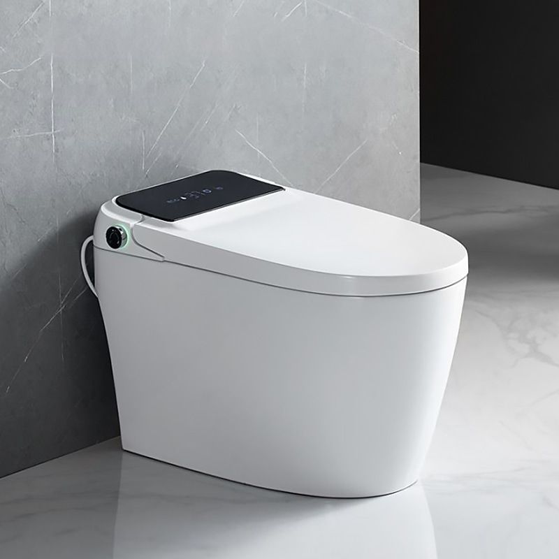 Smart Toilets Handle Multiple Functions