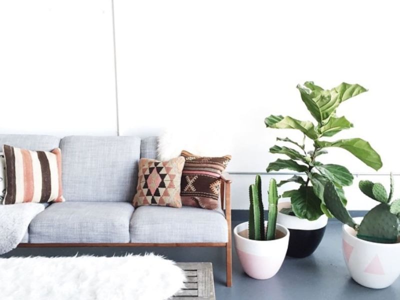 Greenery Goodness