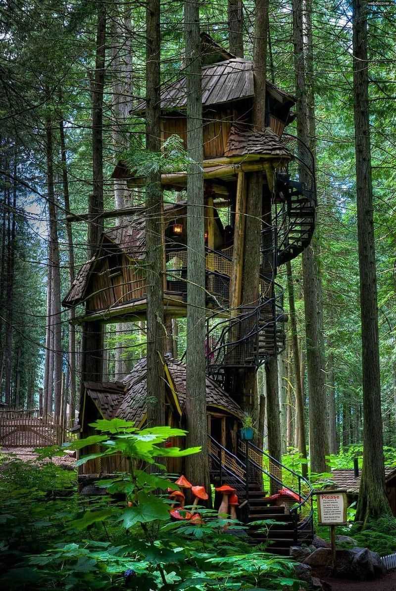 Treehouse Retreat