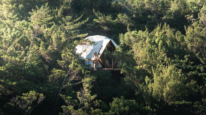 The Rainforest Cocoon