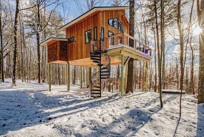 Fontainebleau Treehouse in Aspen, Colorado