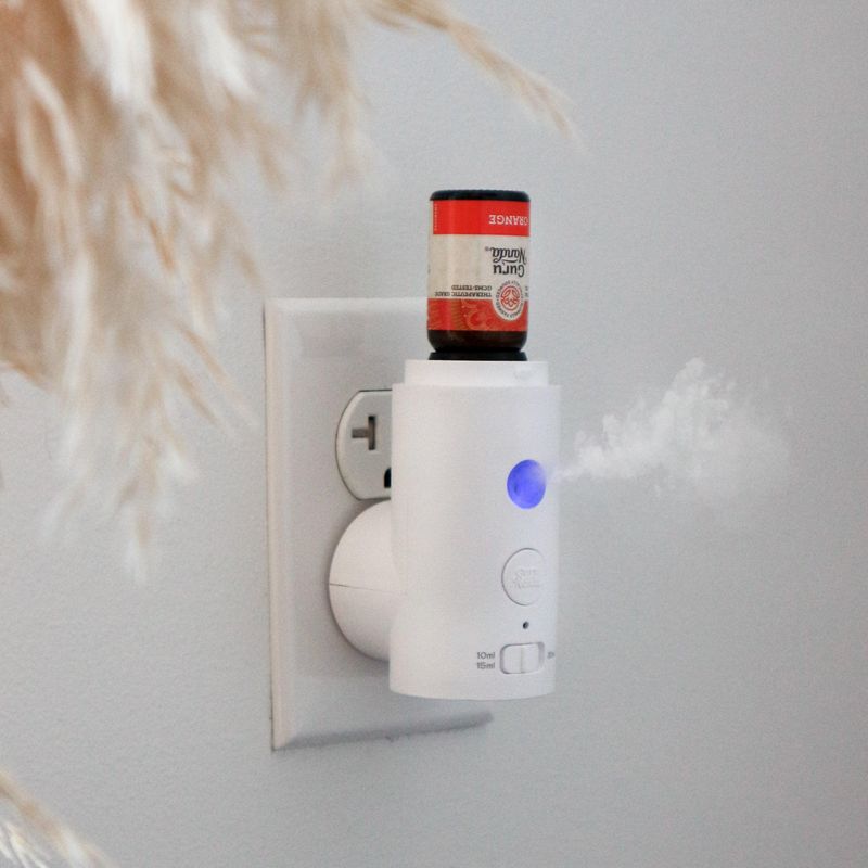 They Don't Rely on Synthetic Air Fresheners