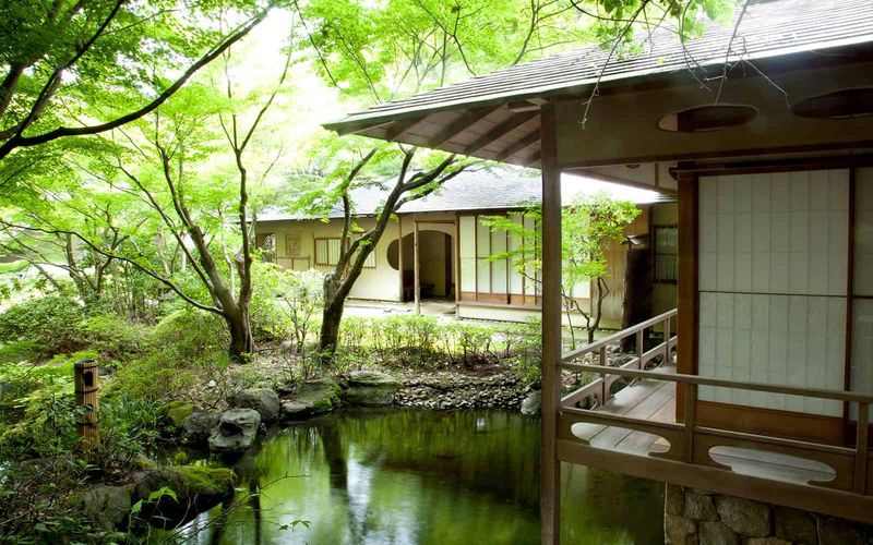 Japanese-Inspired Serenity