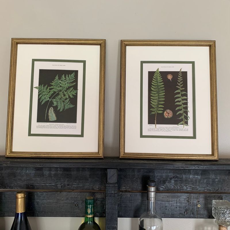 Fern Prints and Botanicals