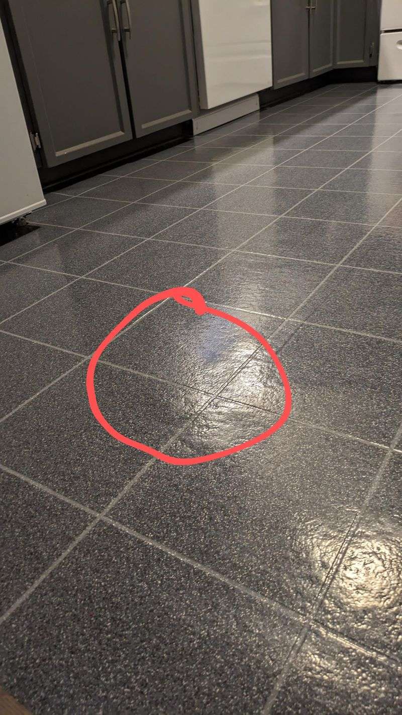 Can Develop Air Bubbles