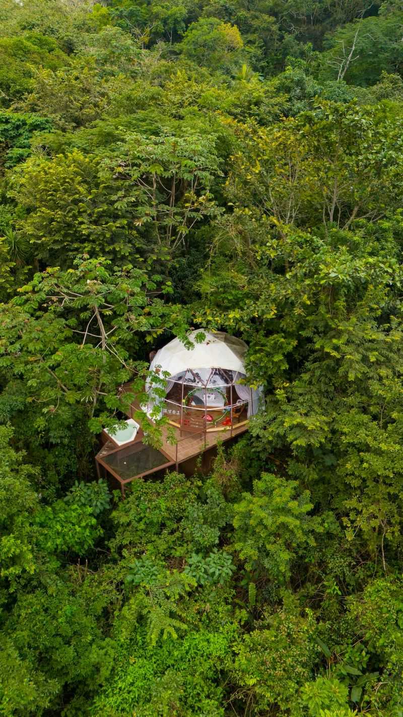 Rainforest Cocoon: Elevated Eco-Sphere