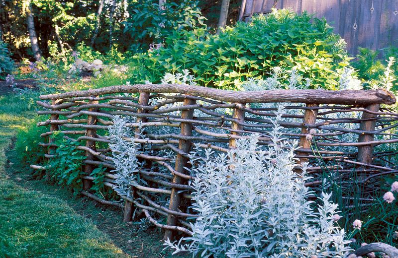 Woven Branch Screen