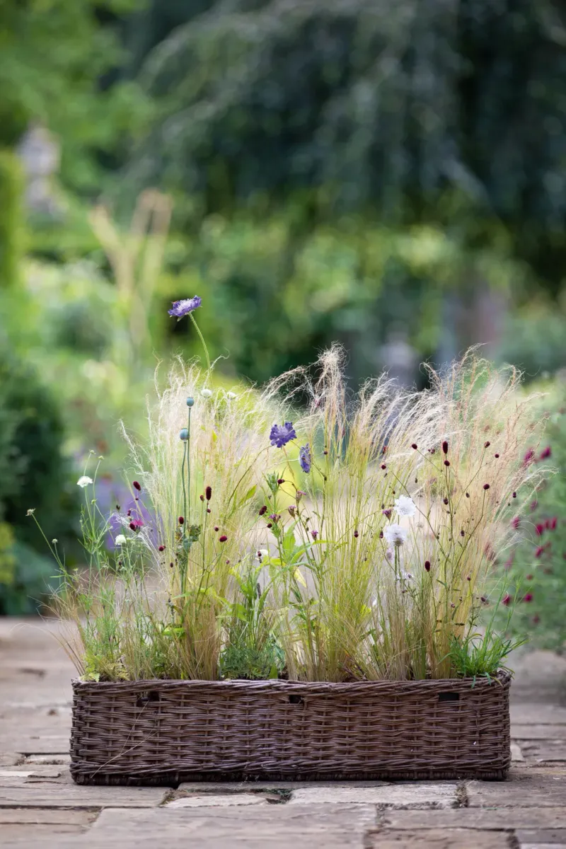 Portable Meadow Garden
