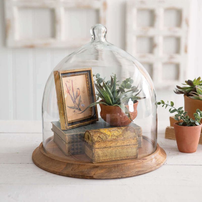 Display Collections In Vintage Glass Cloches