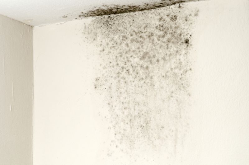 Moisture Management Prevents Disasters