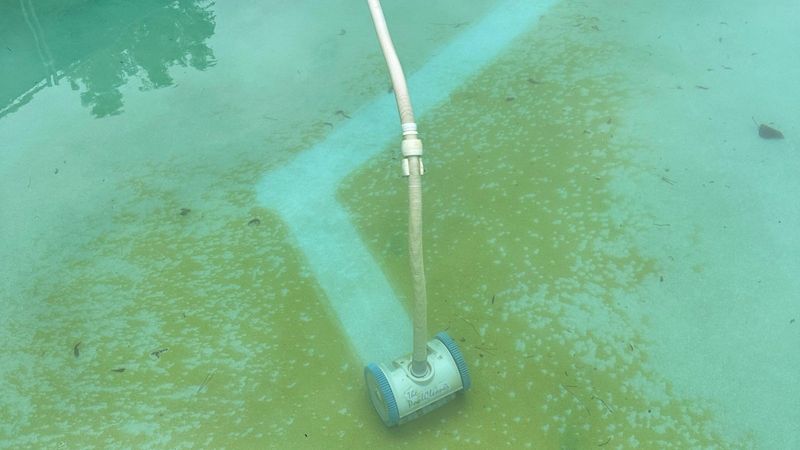 Algae and Water Quality Battles