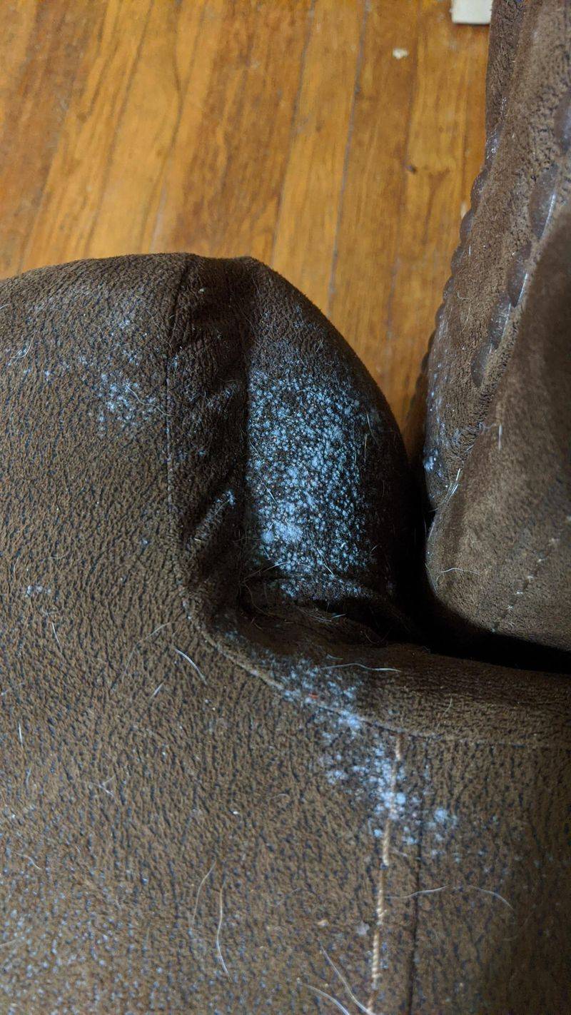 Mysterious Stains With Backstories You Don't Want