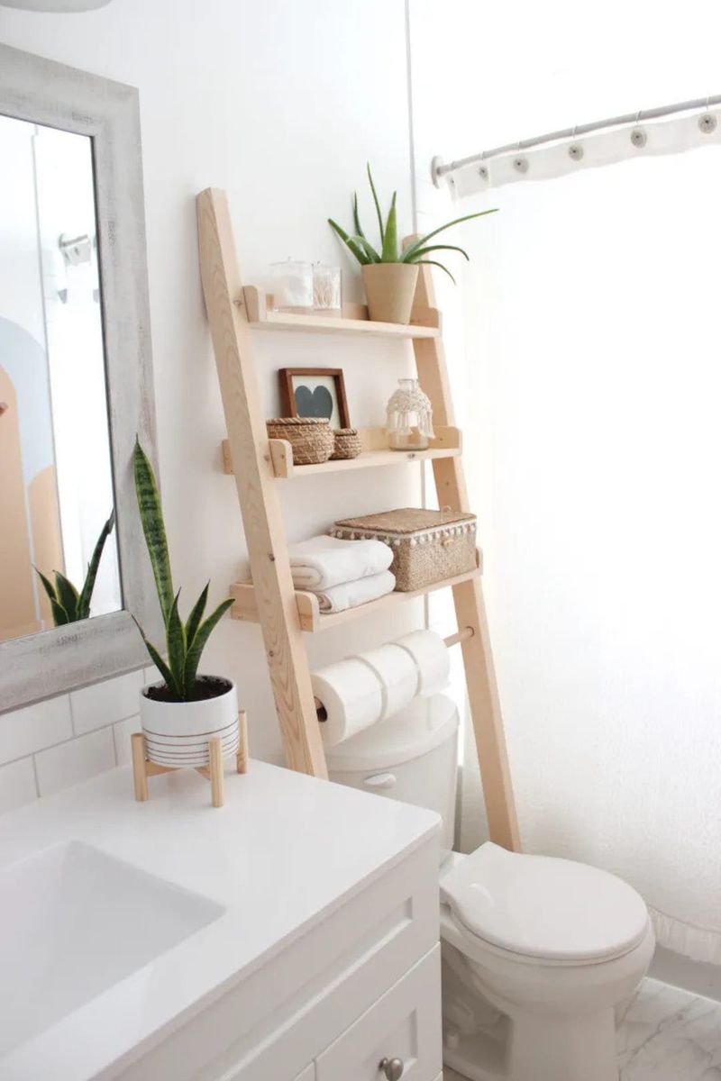 Ladder Shelving