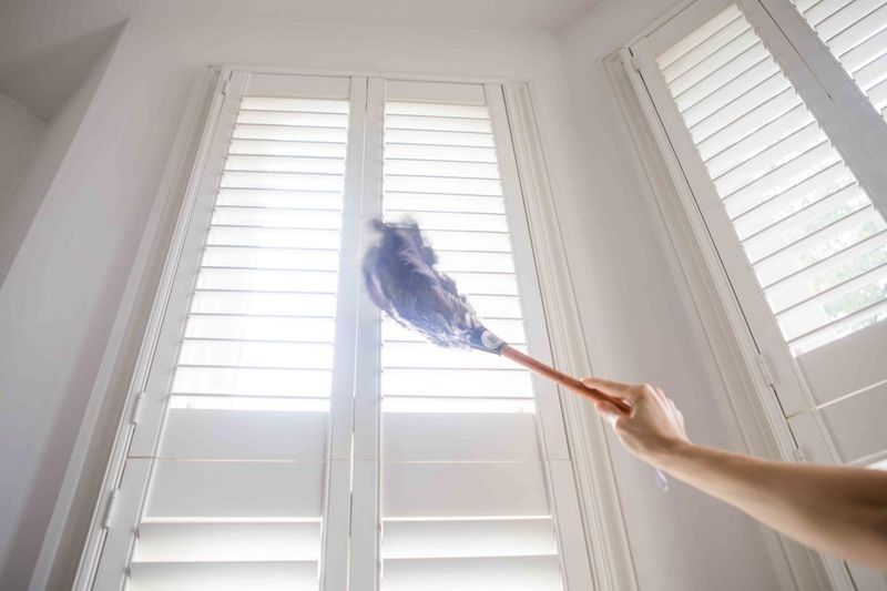 Blinds and Window Treatments