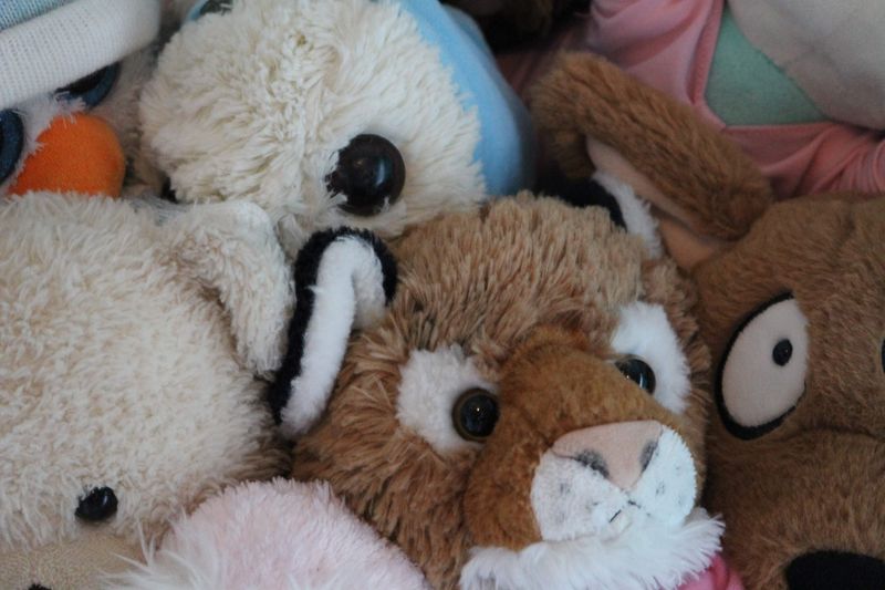 Stuffed Animals and Plush Toys