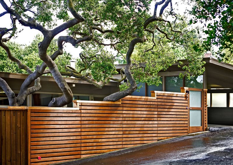 Copper and Cedar Contrast