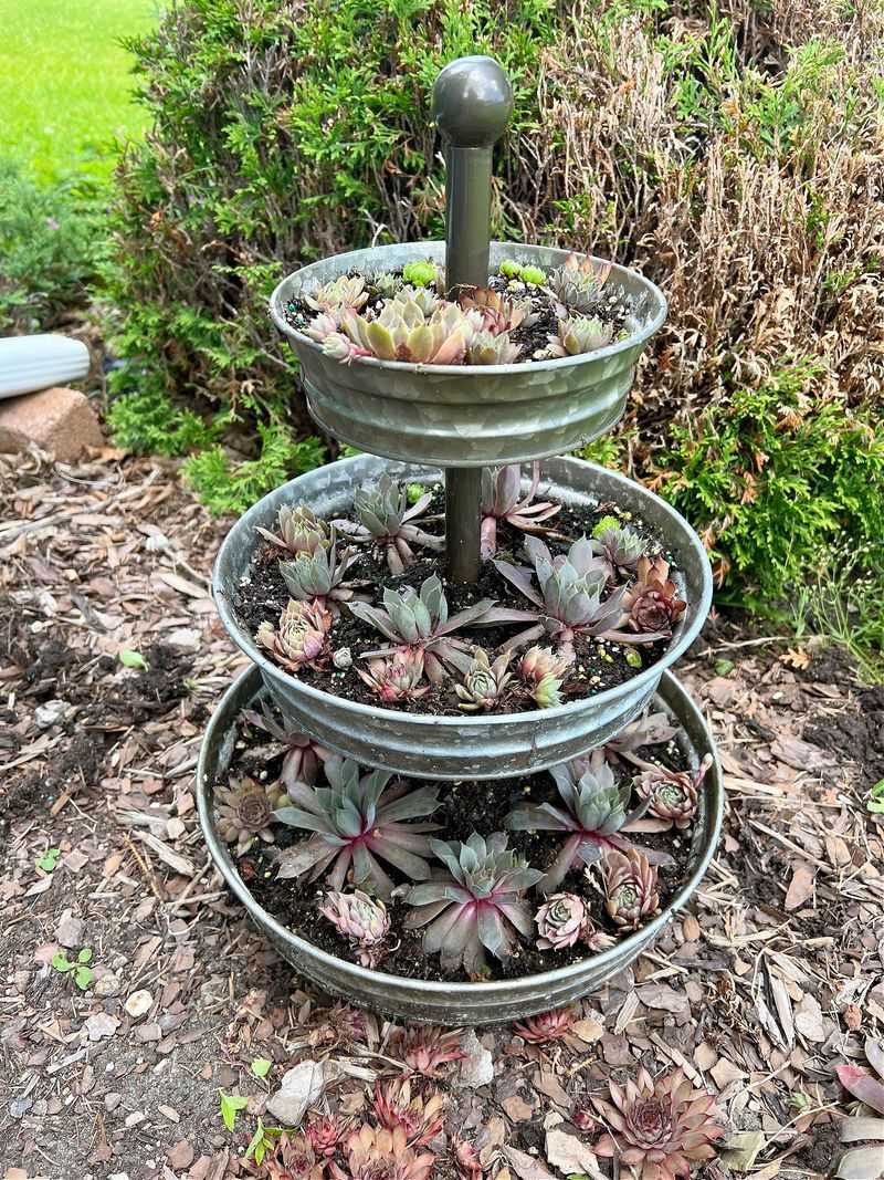 Vintage Metal Trays