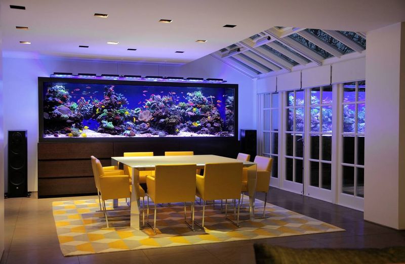 Not Worth It: Built-In Aquarium