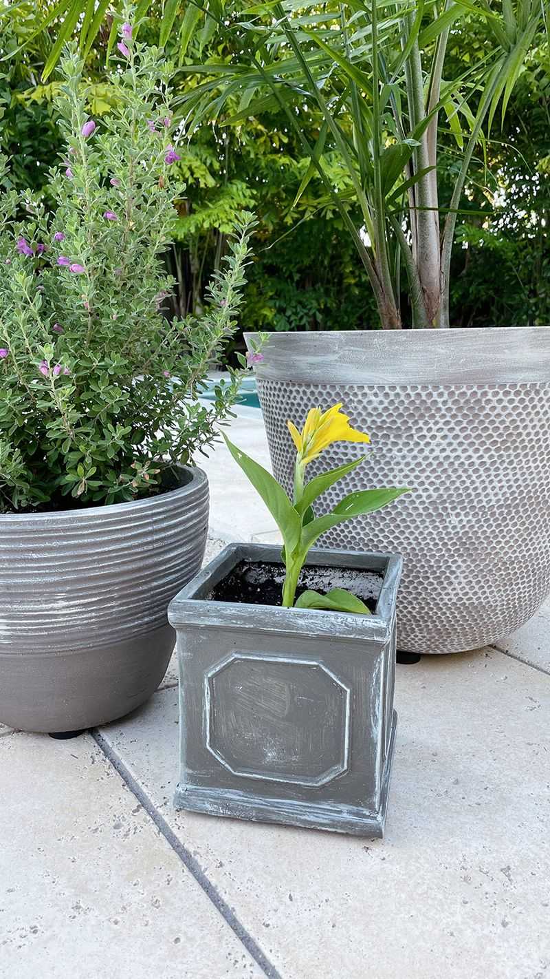 Concrete Garden Pots