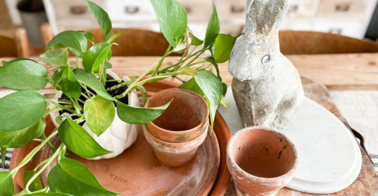 10 Garden Decor Items You Should Never Pass Up On At The Thrift Store (And 5 Absolute Must Haves)