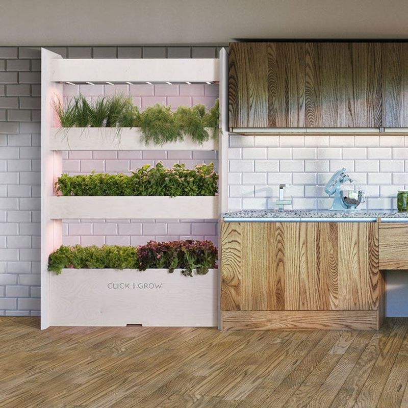 Vertical Herb Gardens with Smart Irrigation