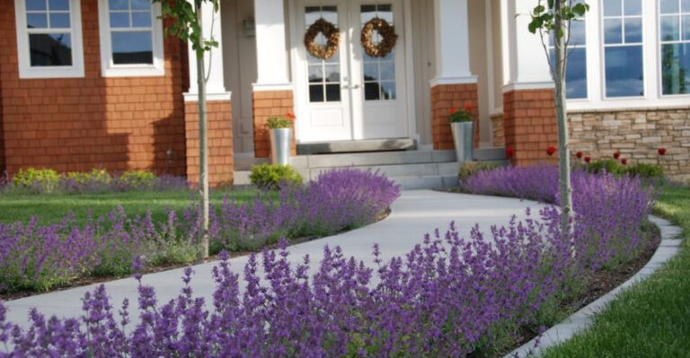 10 Things That Immediately Make Your Front Walkway Look Bad (Plus 7 Things To Do Instead According To Designers)