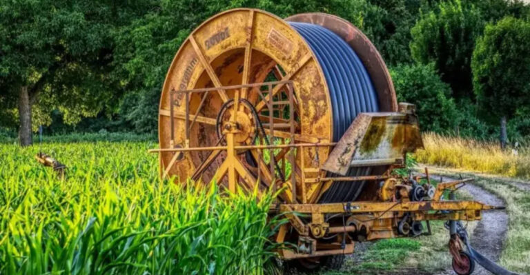10 Useless Garden Decor Items You Should Never Buy At The Thrift Store (Plus 10 Even Worse Ones)