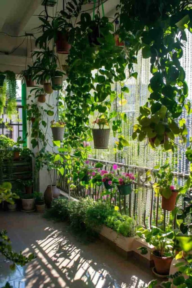Create a Mini Garden Oasis