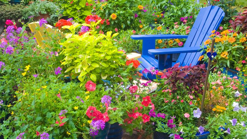 Plastic Adirondack Chairs