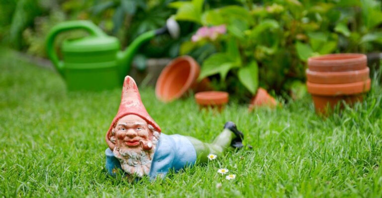 16 Things Interior Decorators Would Never Have In Their Backyards