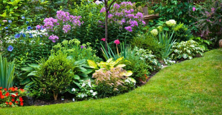 20 Landscaping Tricks That’ll Make Your Garden Look Pricey On A Budget