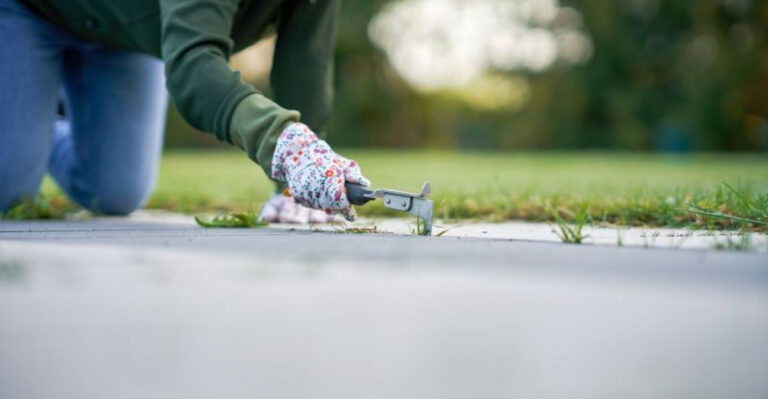 5-Minute Tasks That Instantly Boost Your Home’s Curb Appeal