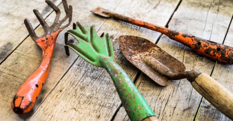 9 Garden Decor Items You Should Never Pass Up On At The Thrift Store (Plus 9 Not So Useful Items)