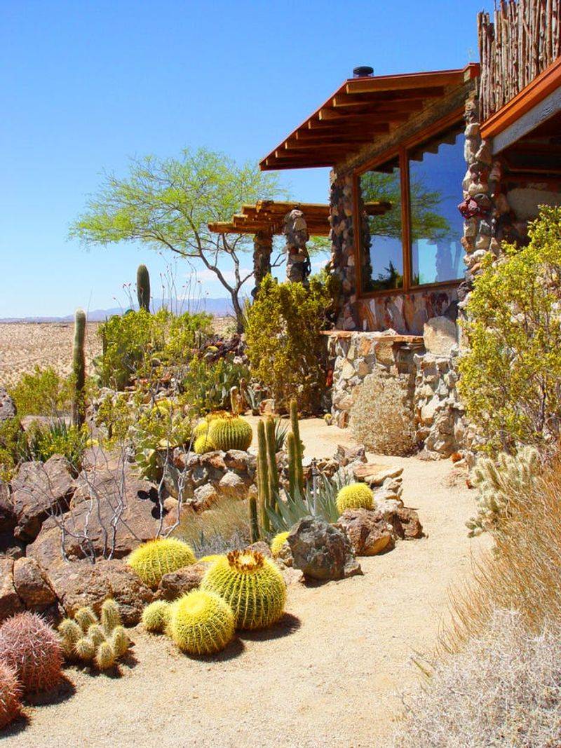 Create A Rock Garden With Desert Plants