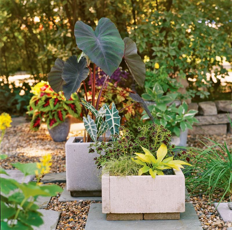 Install Concrete Planters In Brutalist Style