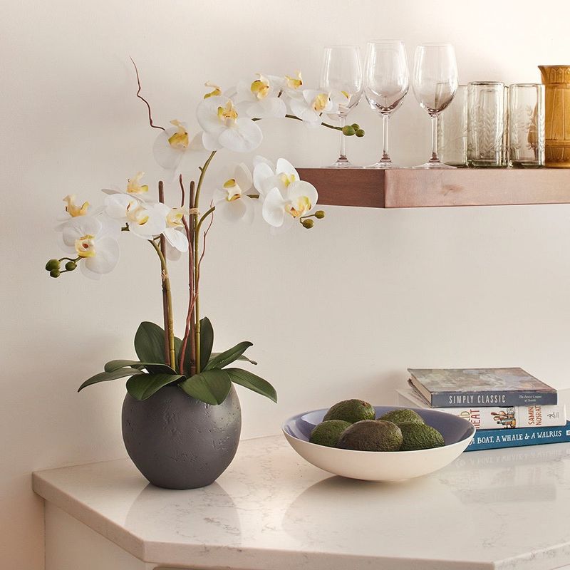 Orchid Elegance Station