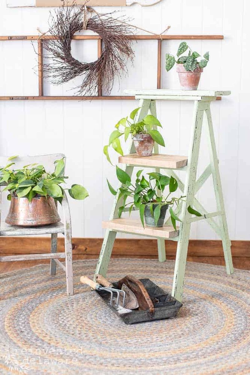 Wooden Ladder Plant Displays