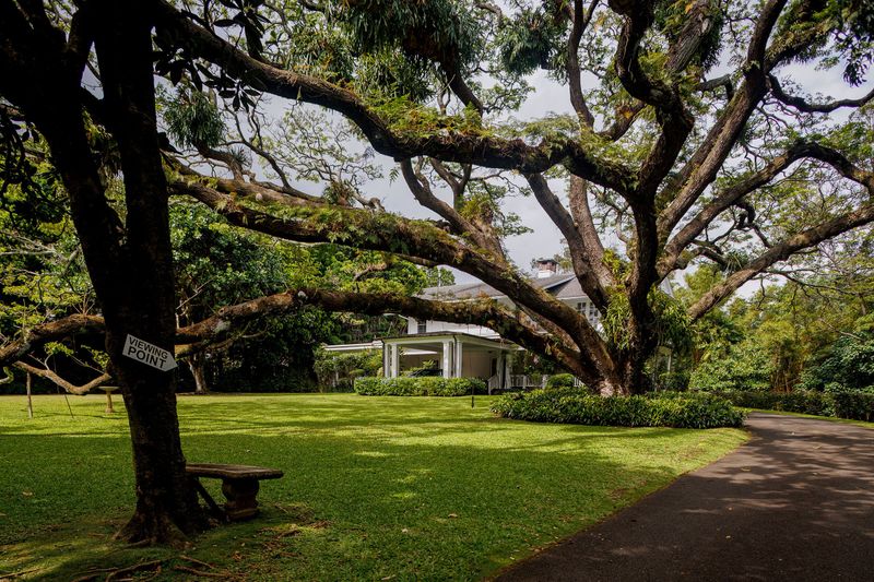 Hawaii's Historic Preservation Review Process